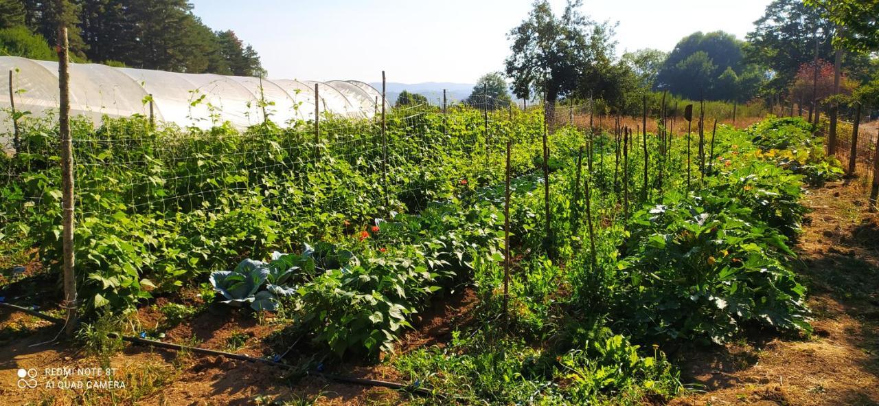 Agriresort Tenuta Ranieri Camigliatello Silano Exterior foto